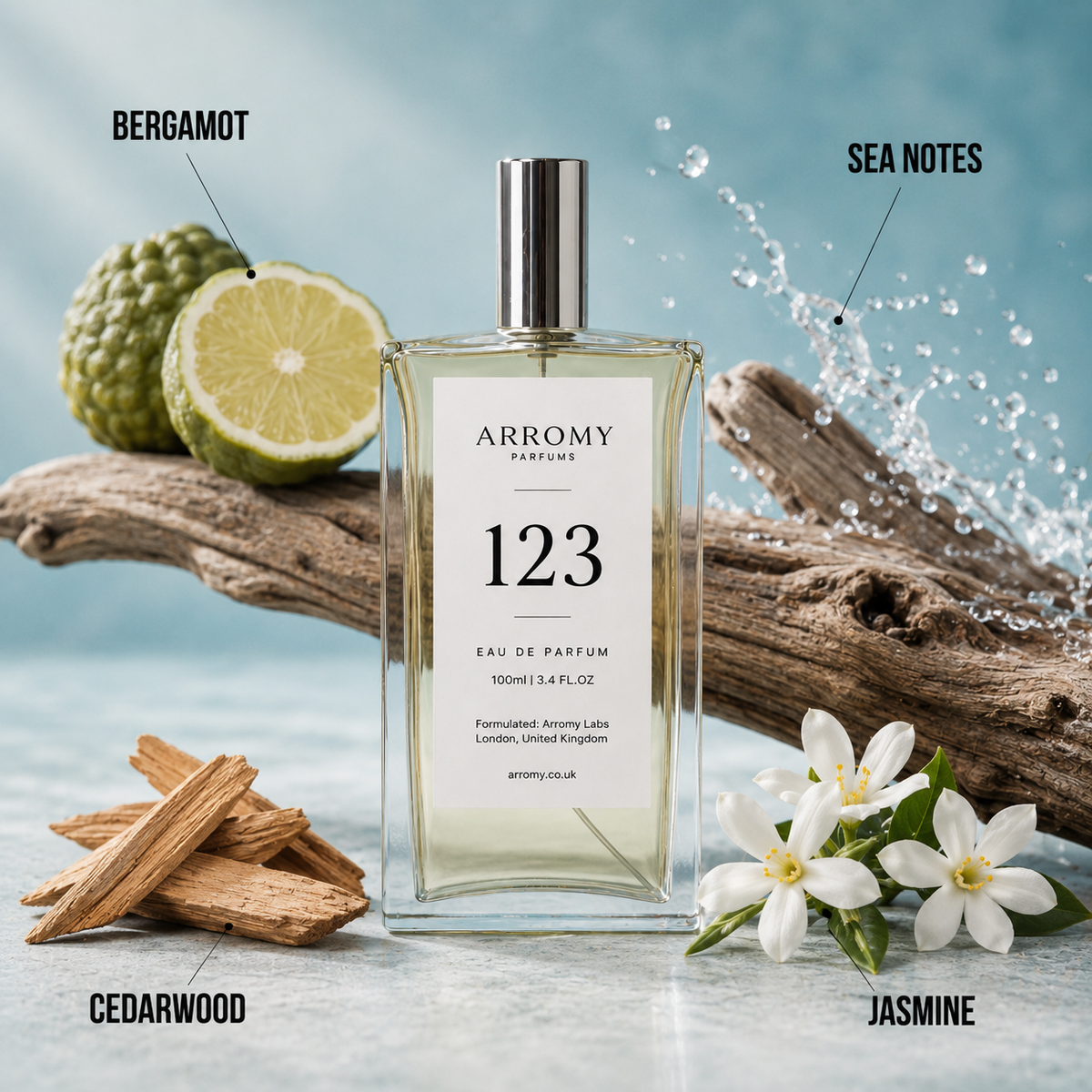 Arromy 123 - Inspired by Acqua di Giò